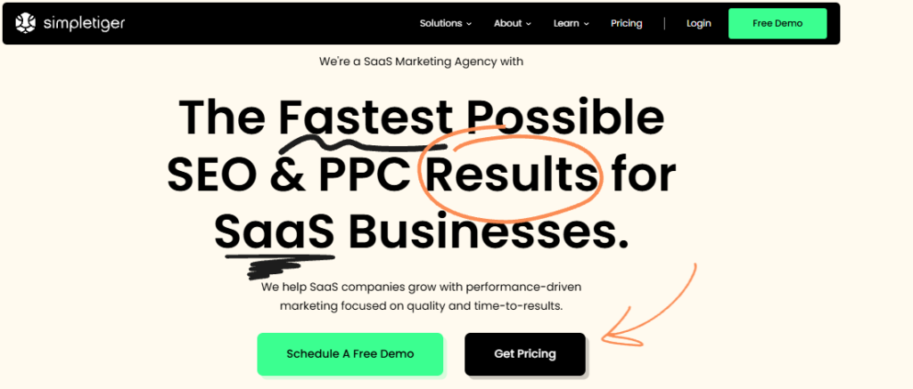 simple tiger - digital marketing agency